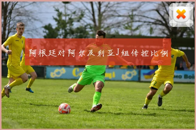 阿根廷对阿尔及利亚J组传控比例
