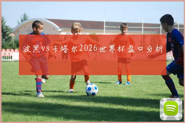 波黑vs卡塔尔2026世界杯盘口分析