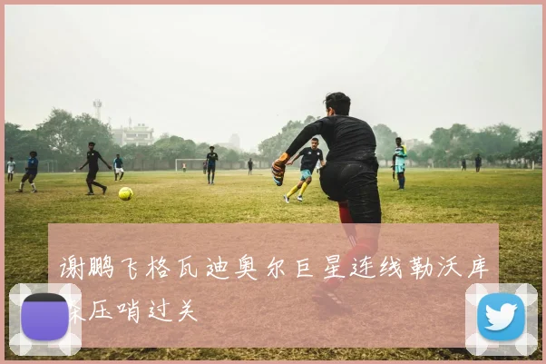 谢鹏飞格瓦迪奥尔巨星连线勒沃库森压哨过关