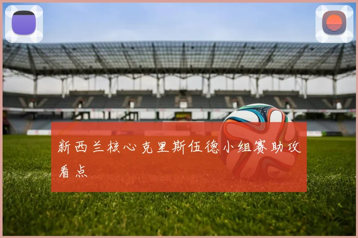 新西兰核心克里斯伍德小组赛助攻看点