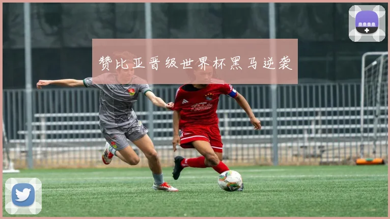 赞比亚晋级世界杯黑马逆袭