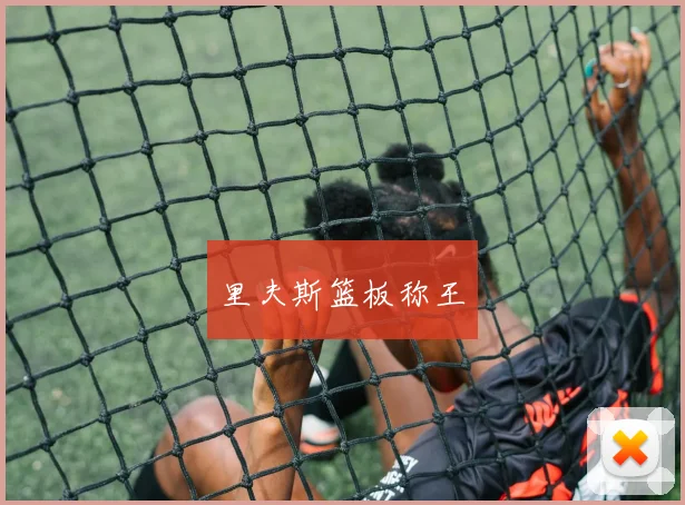 里夫斯篮板称王