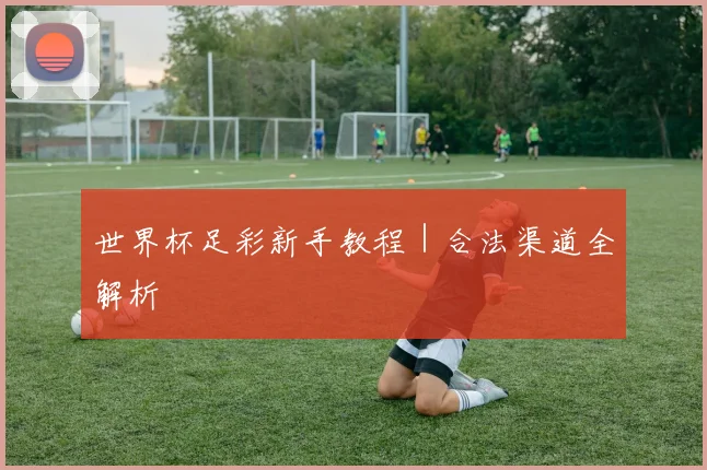 世界杯足彩新手教程｜合法渠道全解析