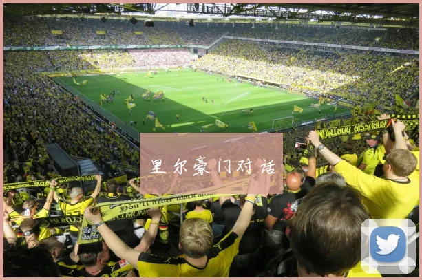 里尔豪门对话