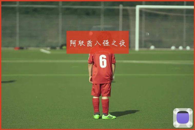 阿联酋八强之夜