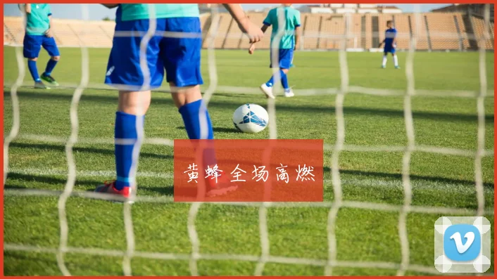 黄蜂全场高燃