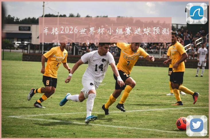 辛格2026世界杯小组赛进球预测