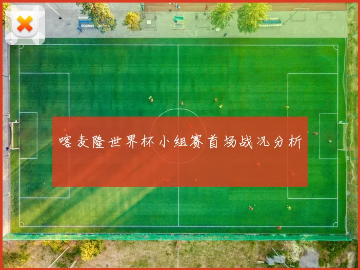 喀麦隆世界杯小组赛首场战况分析