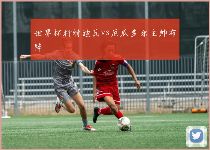 世界杯科特迪瓦vs厄瓜多尔主帅布阵