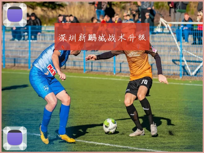 深圳新鹏城战术升级