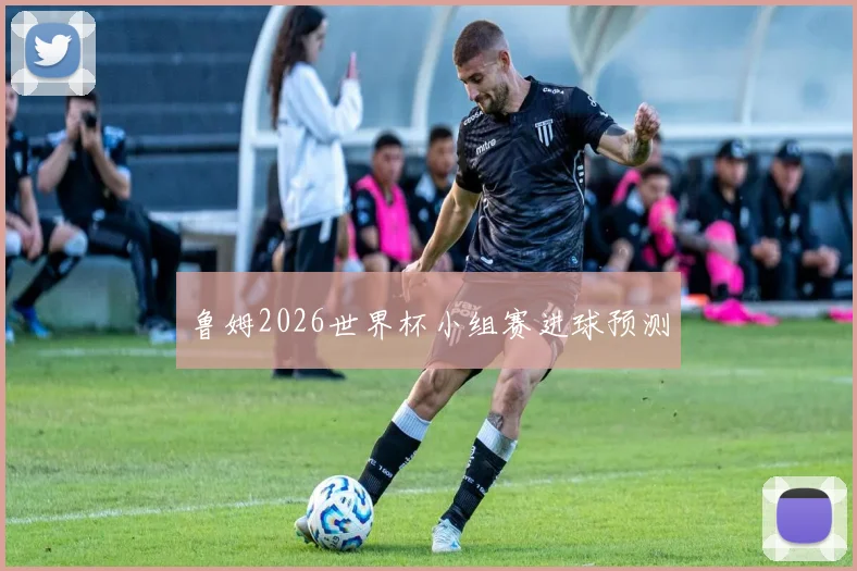 鲁姆2026世界杯小组赛进球预测