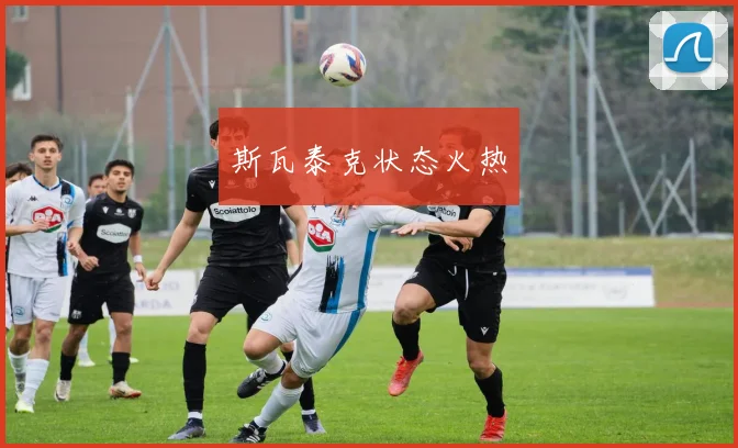 斯瓦泰克状态火热
