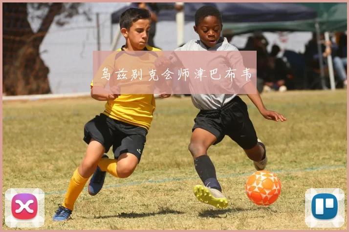 乌兹别克会师津巴布韦