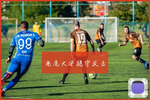 老虎大学稳守反击