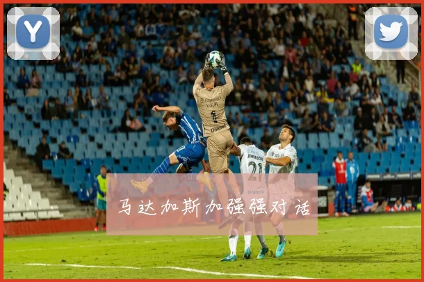 马达加斯加强强对话