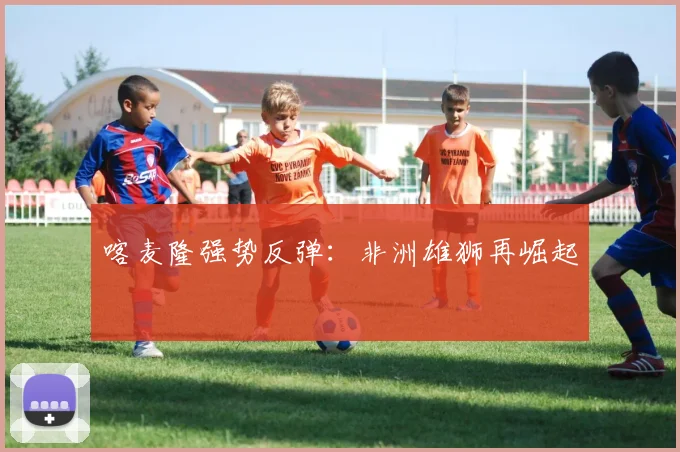 喀麦隆强势反弹：非洲雄狮再崛起