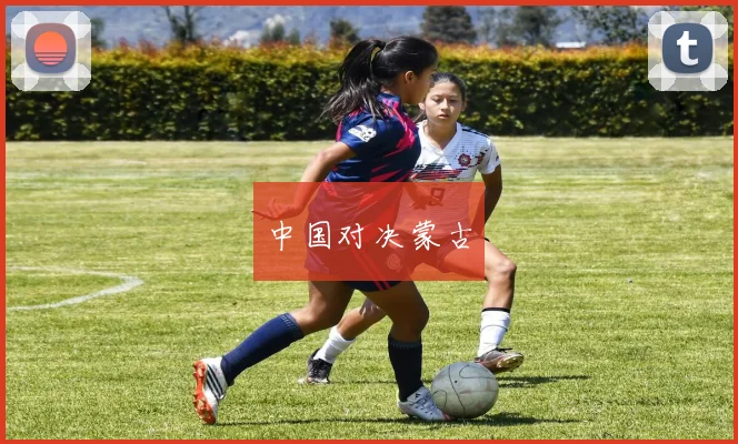 中国对决蒙古