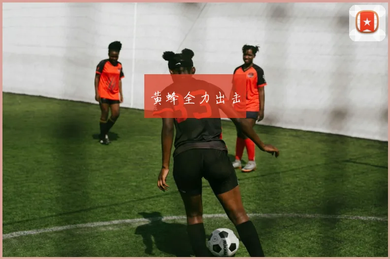 黄蜂全力出击