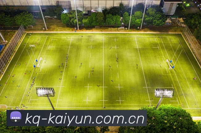 关于kaiyun.com