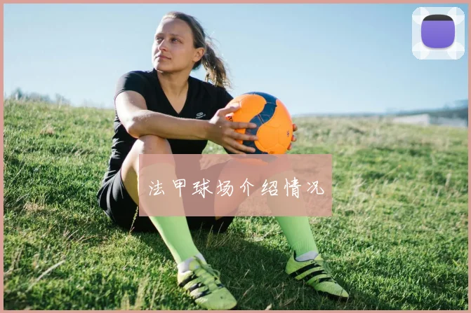 法甲球场介绍情况
